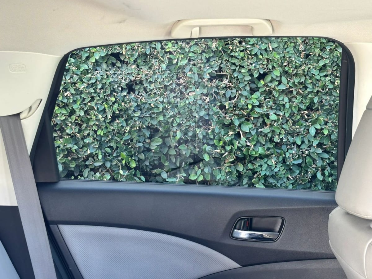 Image #21