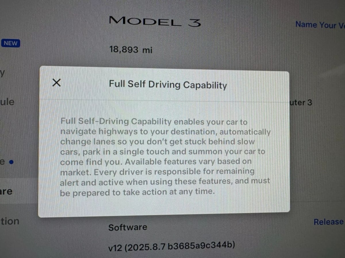 2022 Tesla Model 3 photo 18