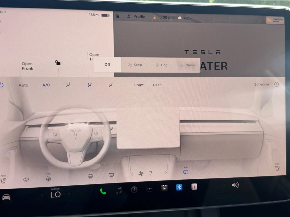2022 Tesla Model 3 Performance photo 19