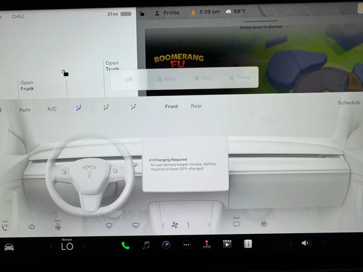 2022 Tesla Model Y Performance photo 19