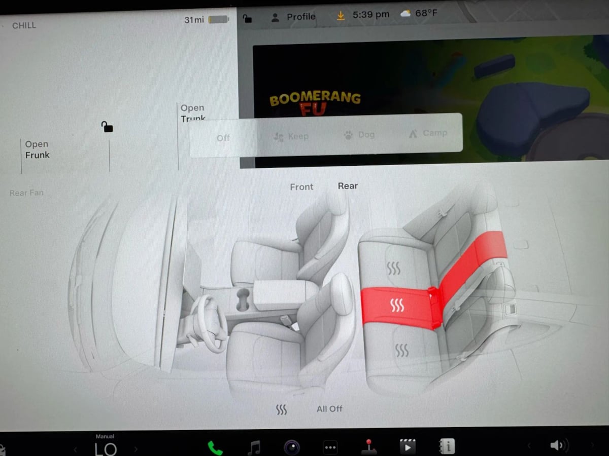 2022 Tesla Model Y Performance photo 20