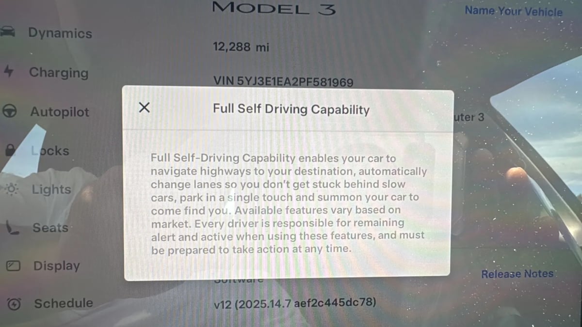 2023 Tesla Model 3 photo 14