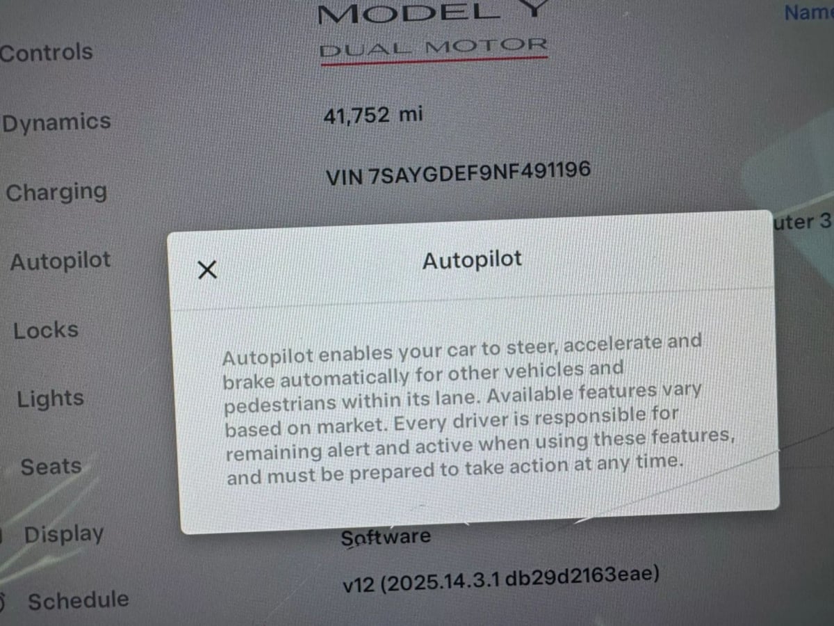 2022 Tesla Model Y Performance photo 19