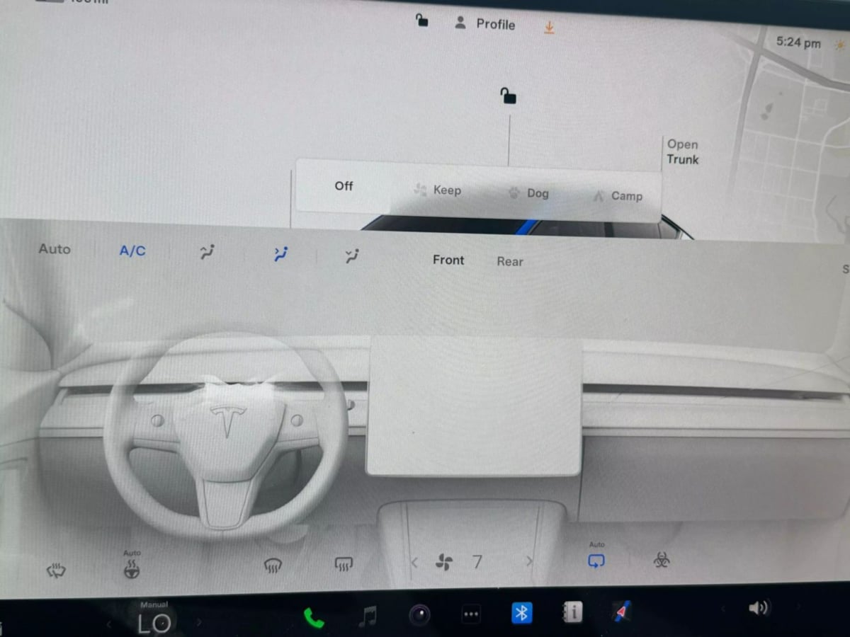 2022 Tesla Model Y Performance photo 23