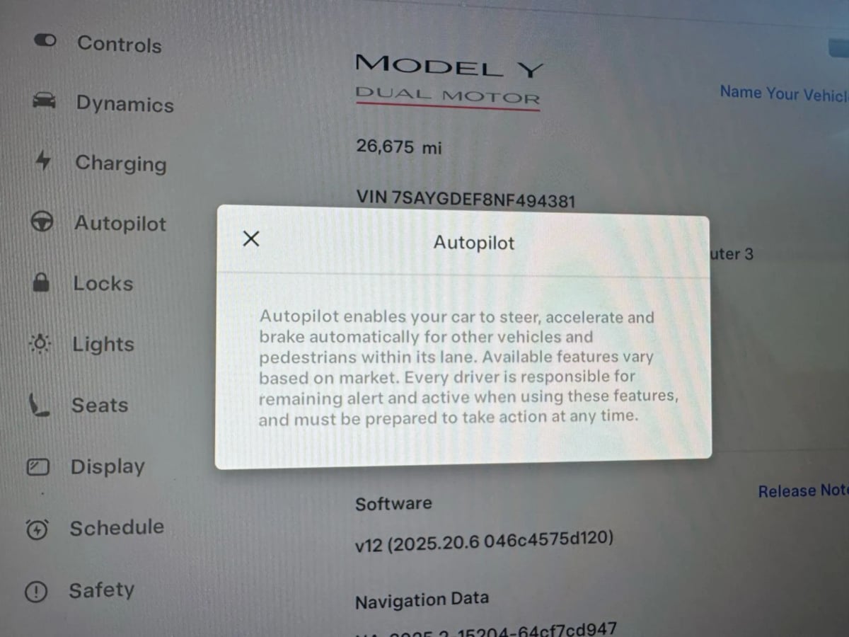2022 Tesla Model Y Performance photo 13
