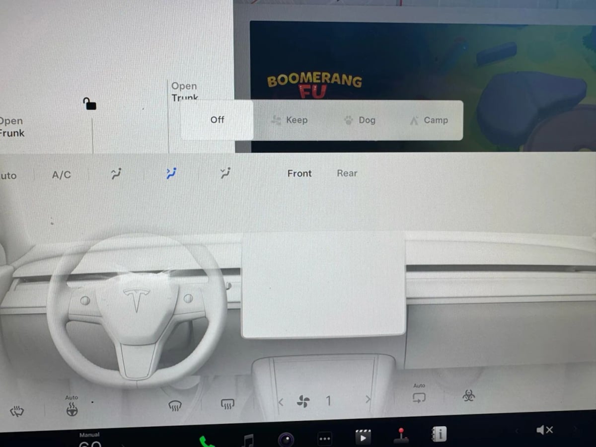 2022 Tesla Model Y Performance photo 16