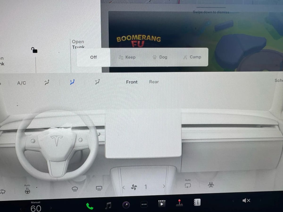2022 Tesla Model Y Performance photo 18