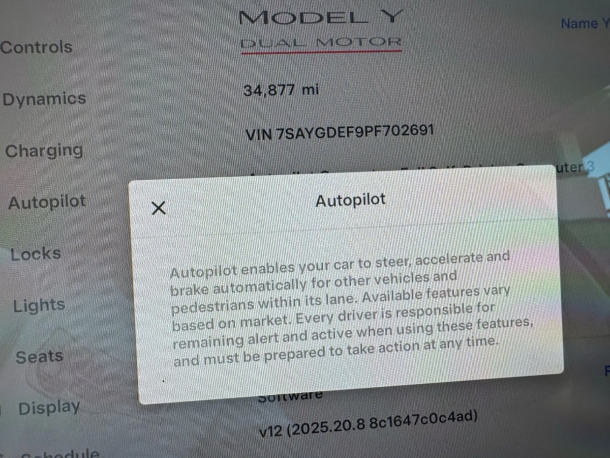 2023 Tesla Model Y Performance photo 18