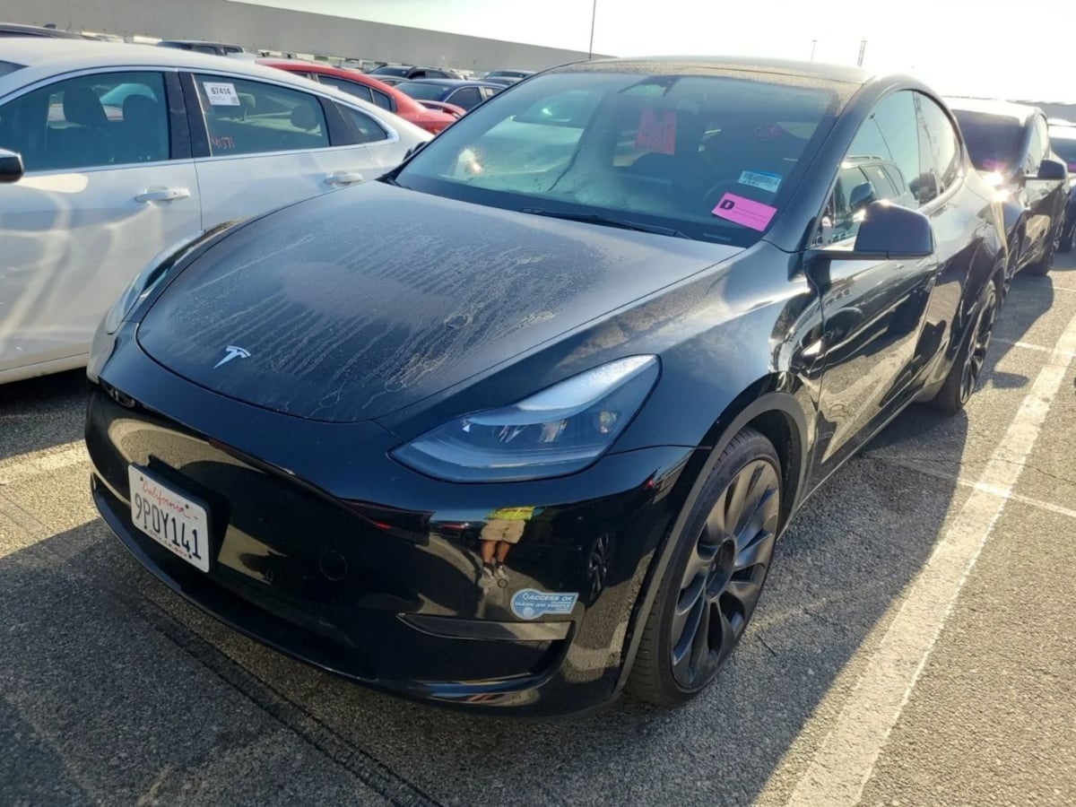 2022 Tesla Model Y Performance photo 2
