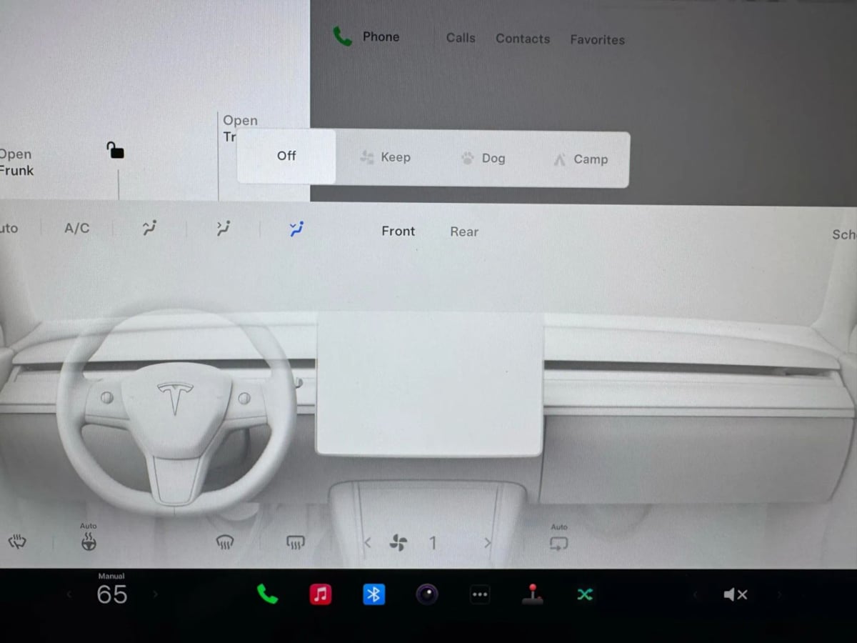 2021 Tesla Model Y Long Range photo 10