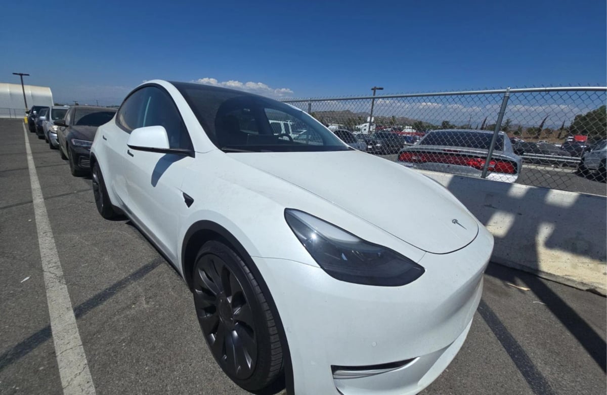 2022 Tesla Model Y Performance photo 6