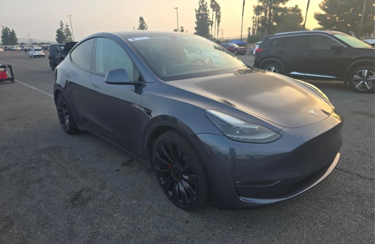 2022 Tesla Model Y Performance photo 2