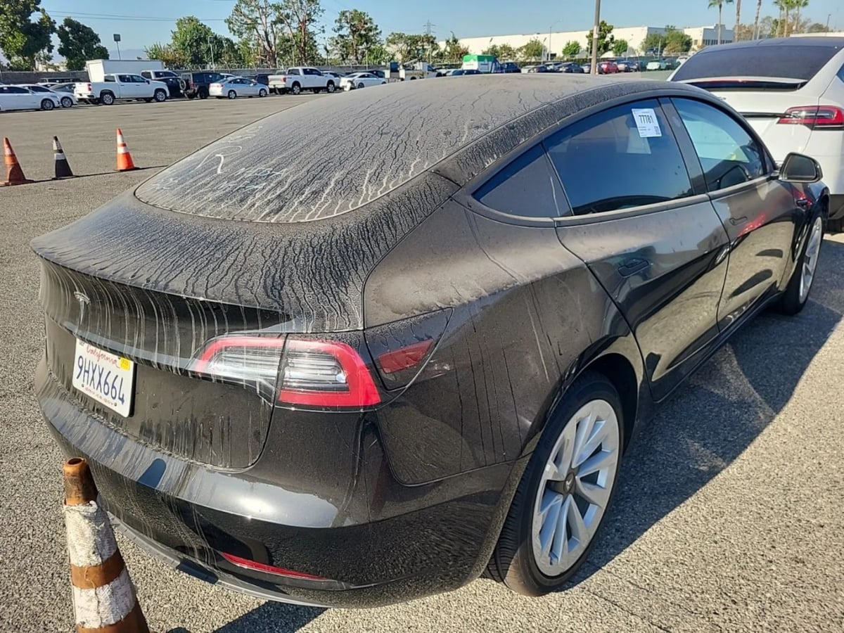 2023 Tesla Model 3 photo 3
