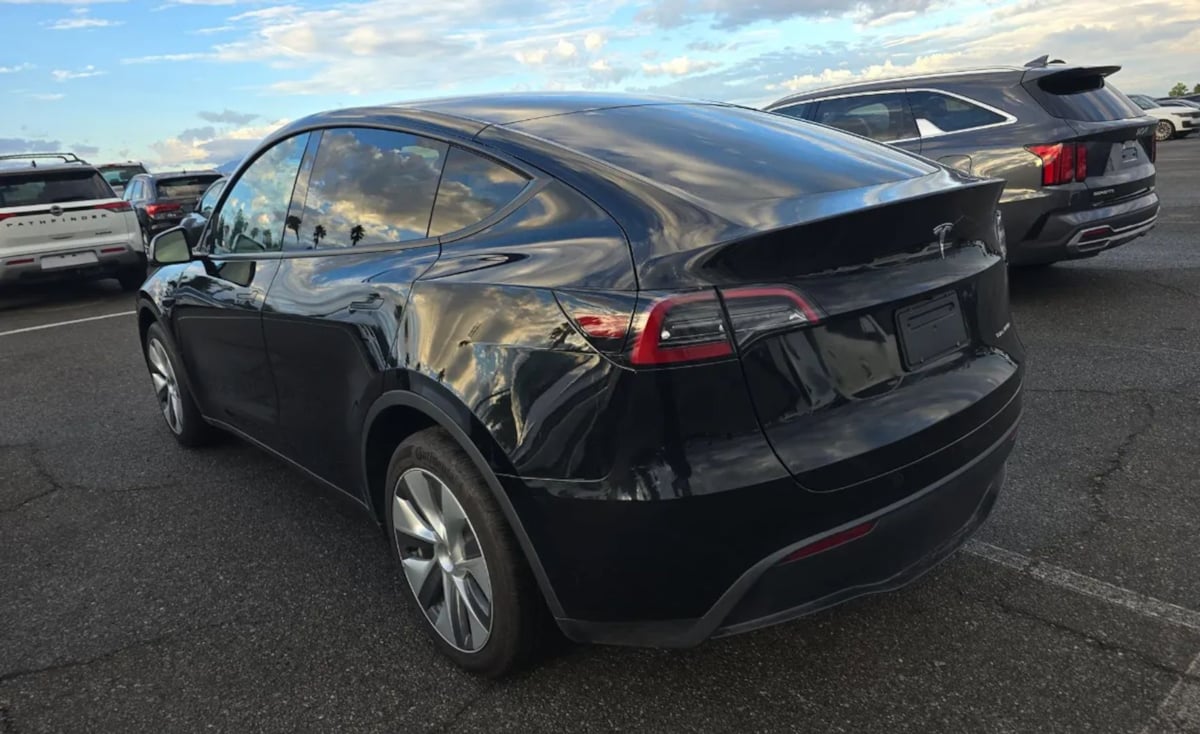 2024 Tesla Model Y Long Range photo 3