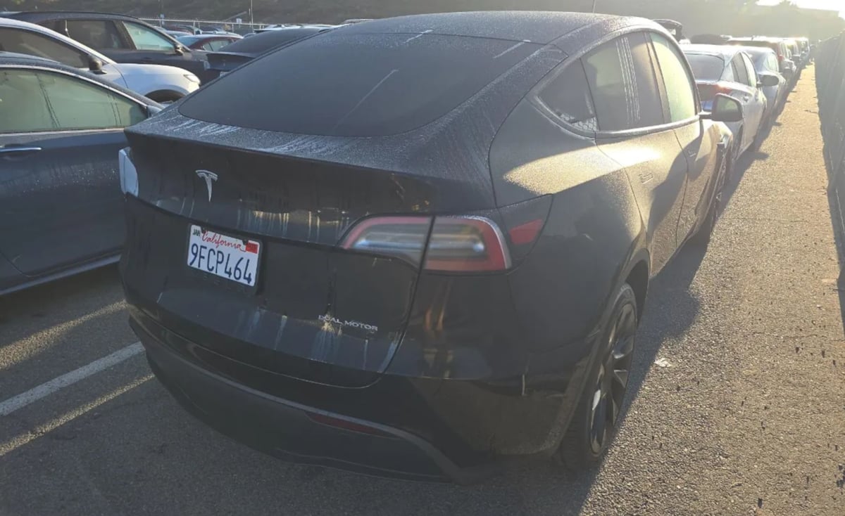 2023 Tesla Model Y Long Range photo 4