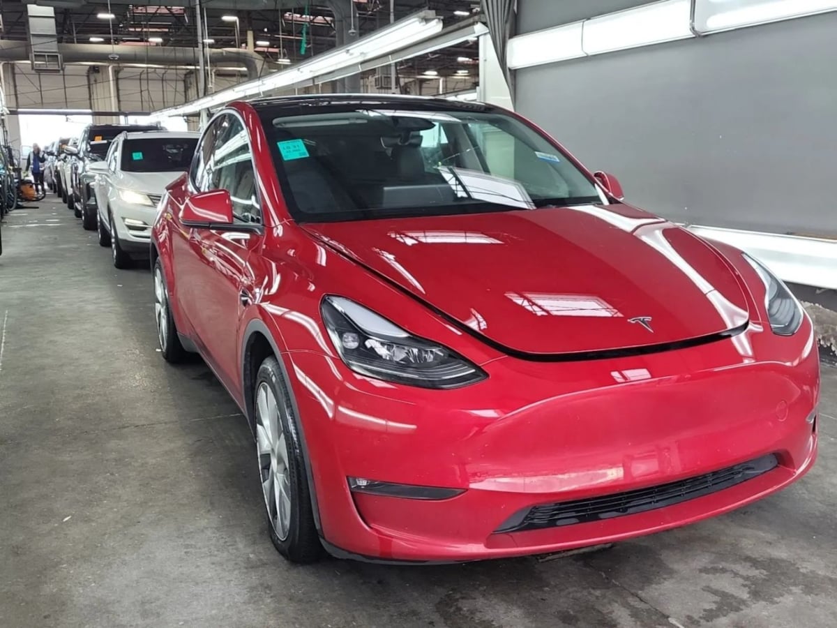 2023 Tesla Model Y Long Range photo 3