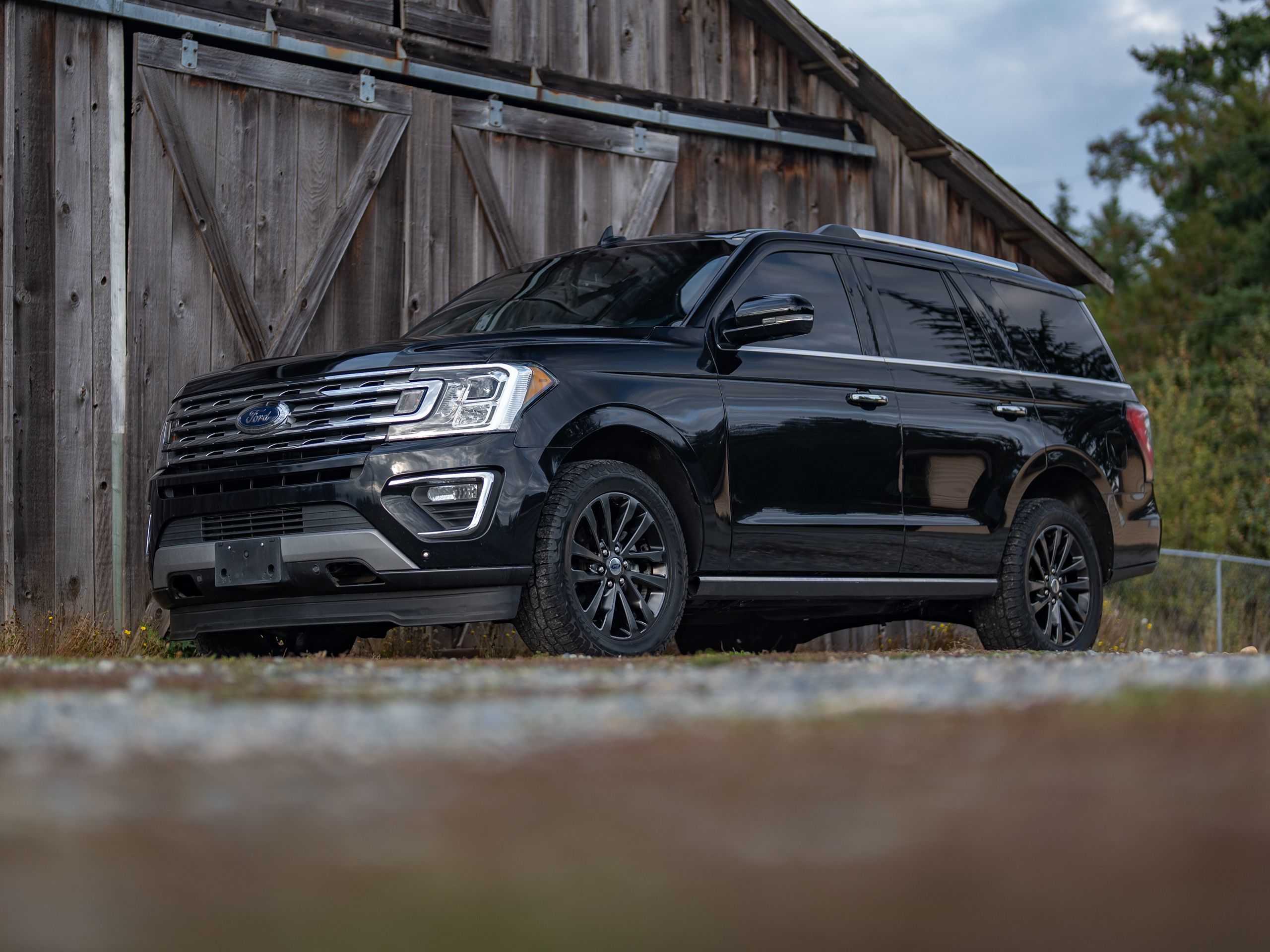 2019 Ford Expedition Limited photo 4