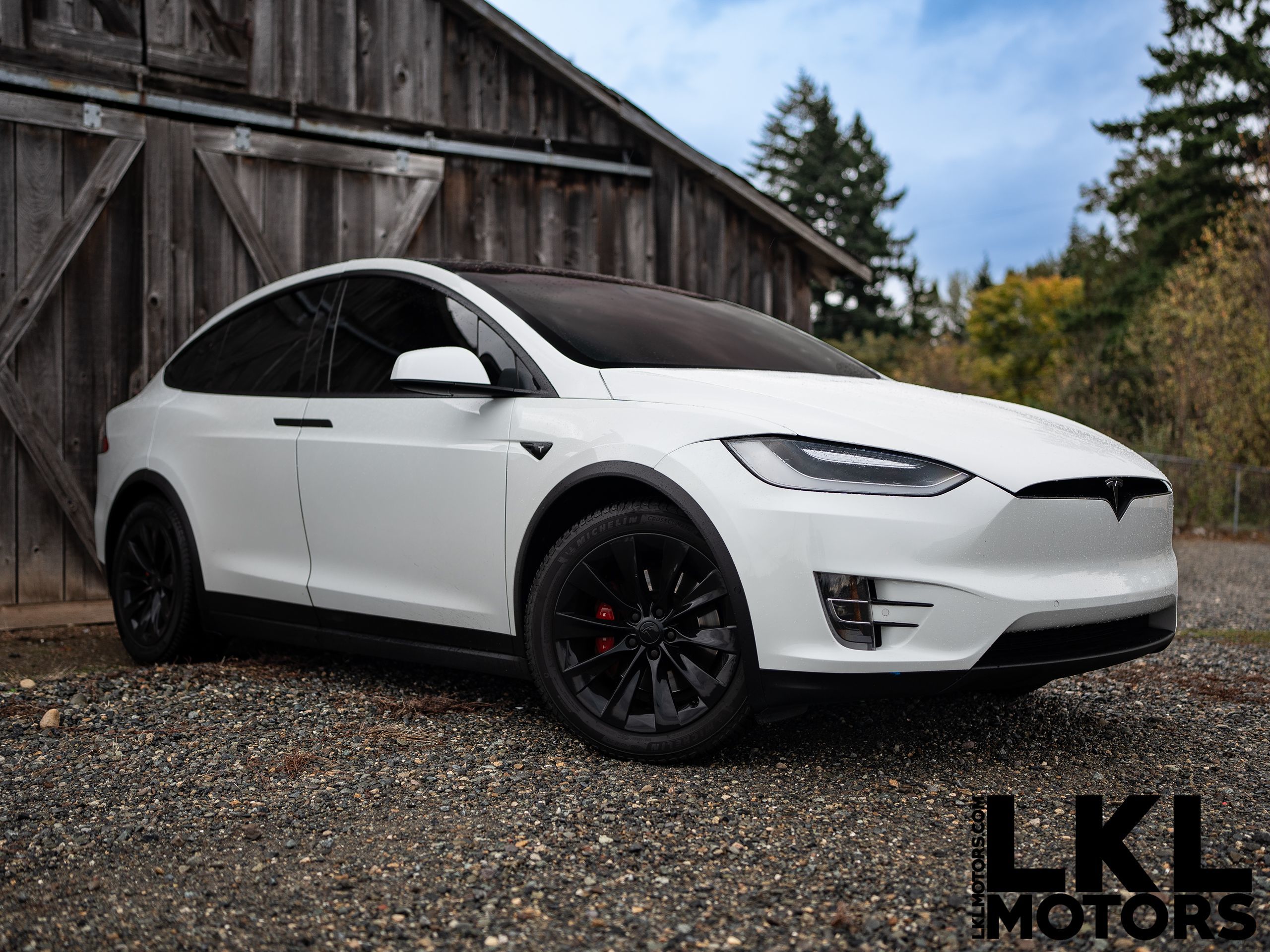 2017 Tesla Model X P100D's photo