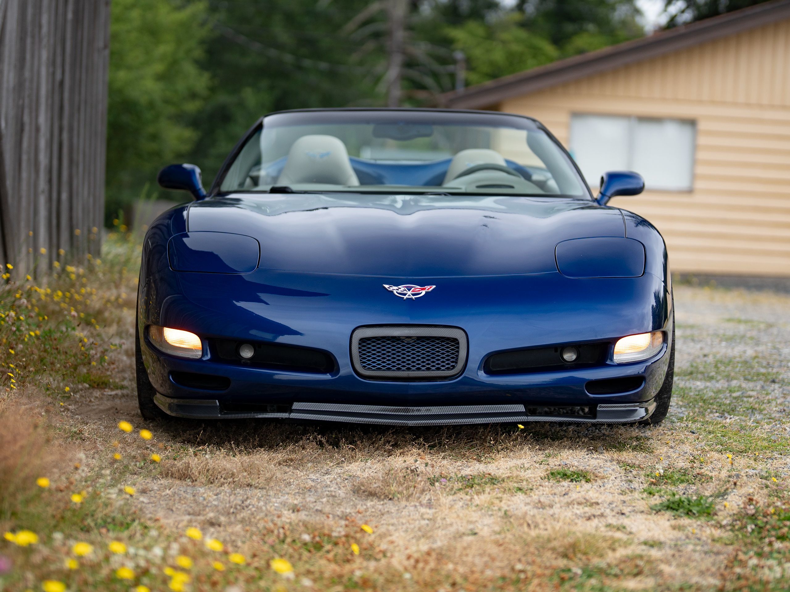 Image #10