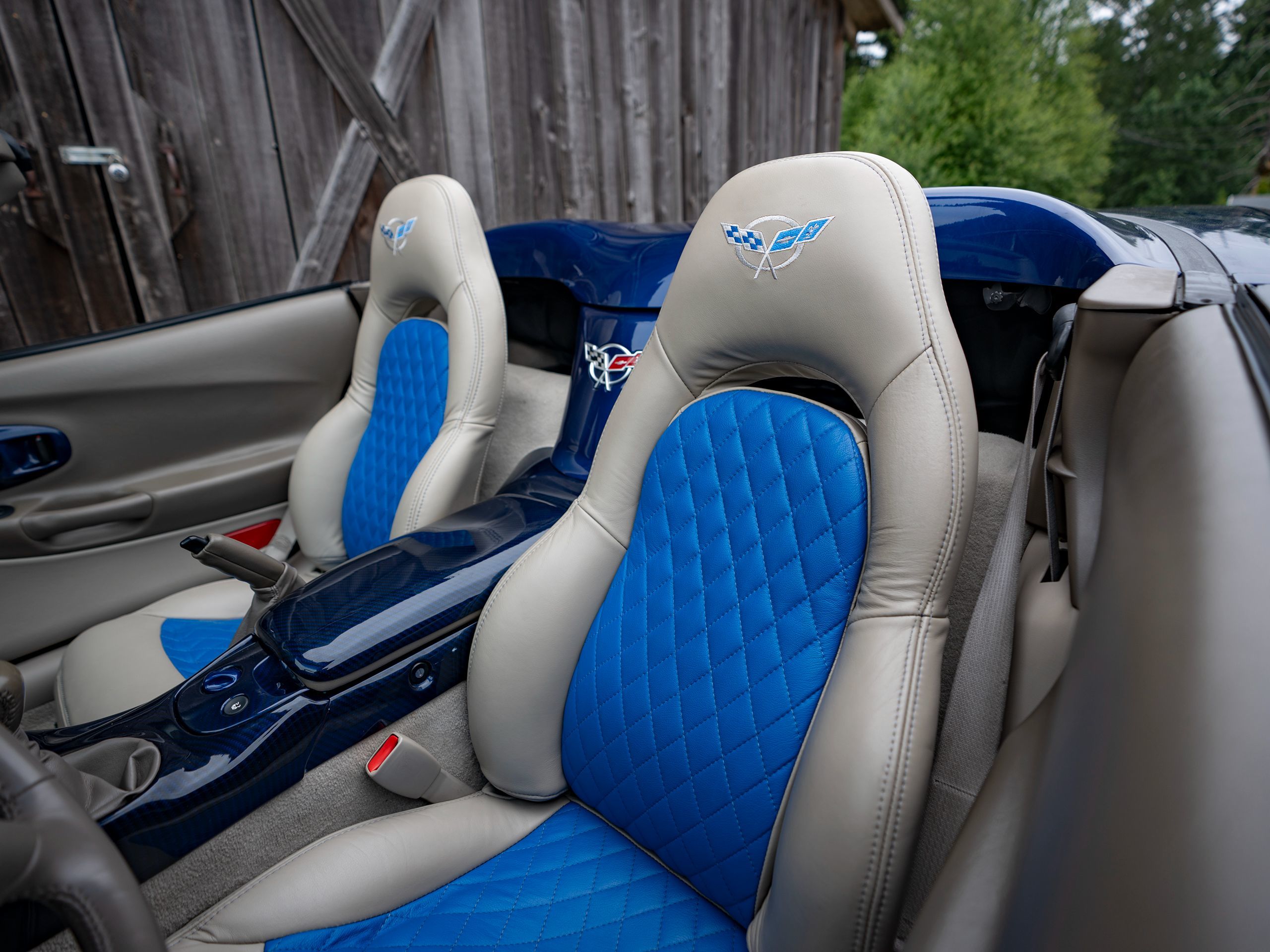 Image #19