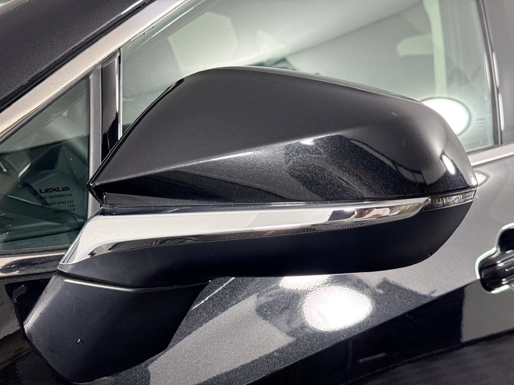 2025 Lexus NX 350 - Photo 21