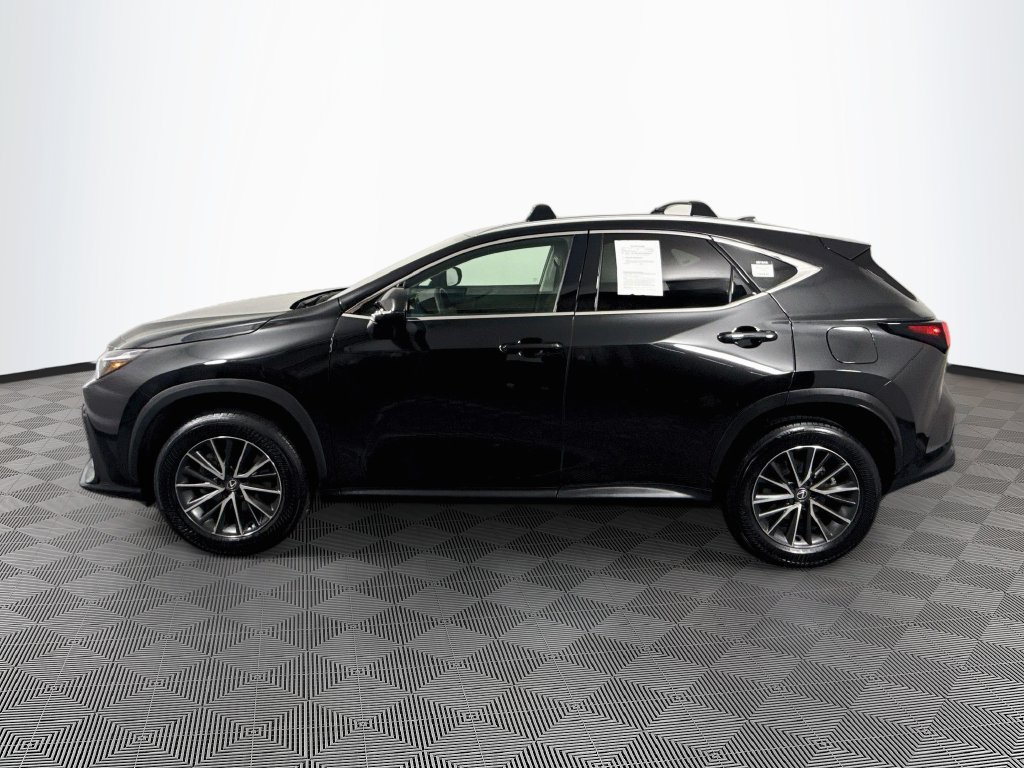 2025 Lexus NX 350 - Photo 10