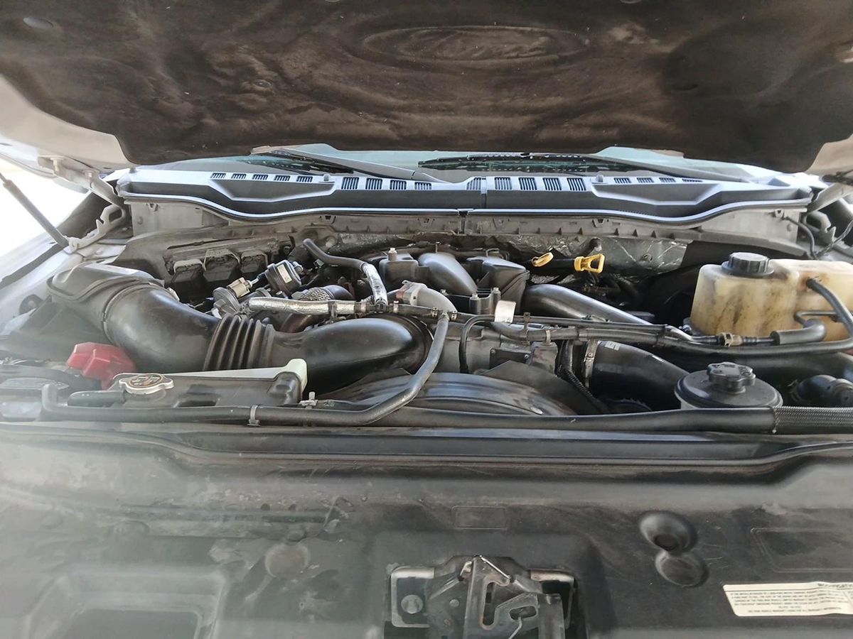 2019 Ford F-250 Platinum photo 9