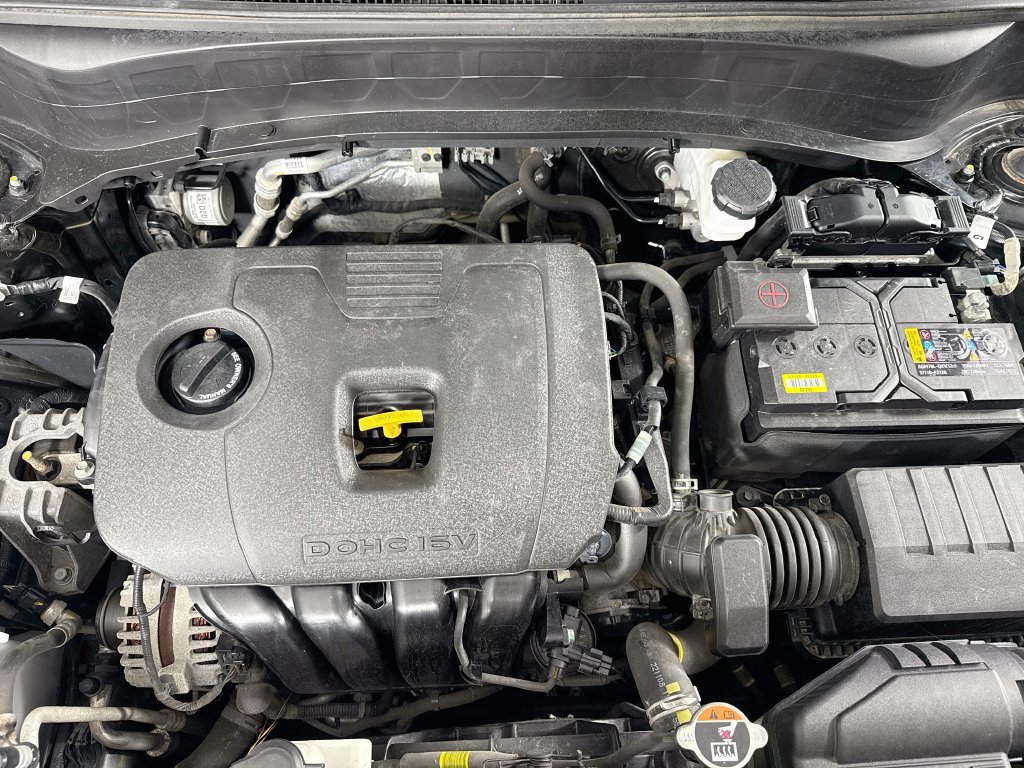 Kia Seltos photo 35