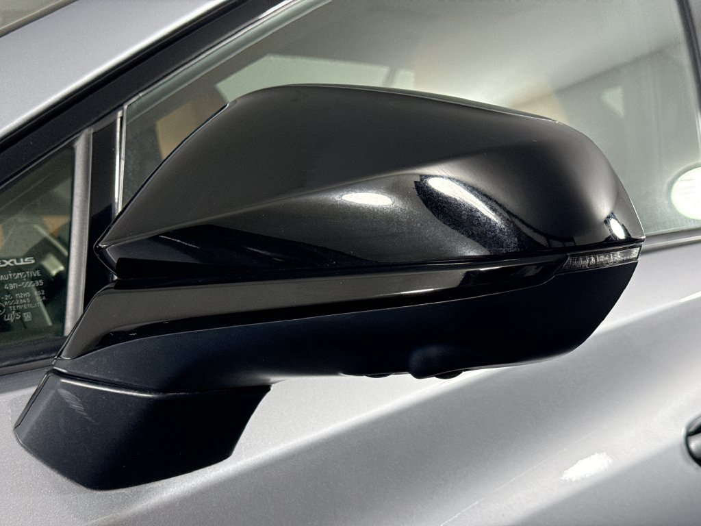 Lexus RZ photo 20