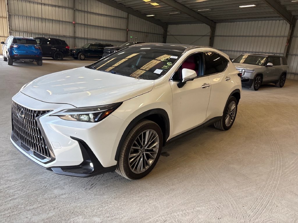 Lexus NX photo 2