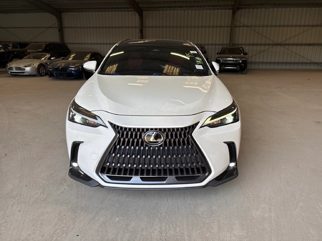 Lexus NX photo 3