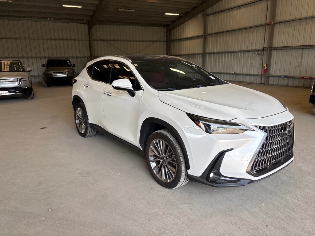 Lexus NX photo 4