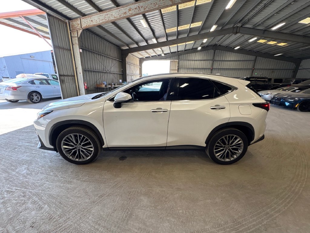 Lexus NX photo 5