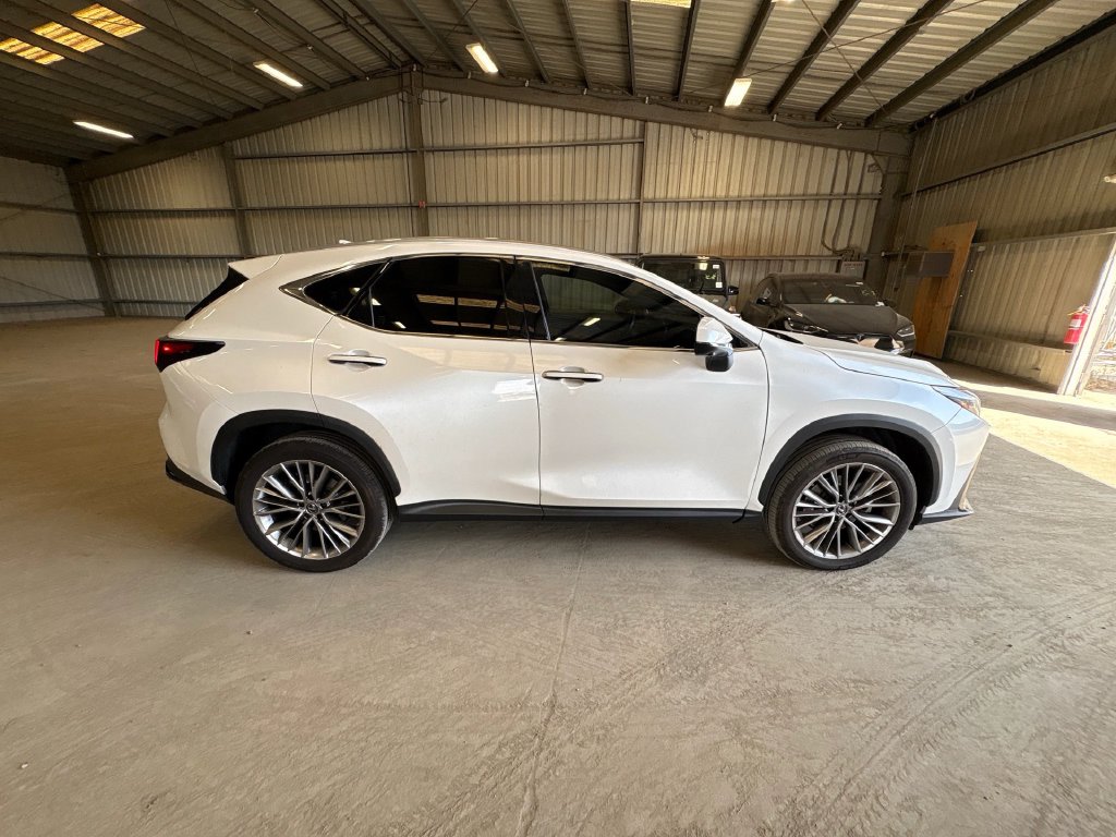 Lexus NX photo 6