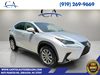 2019 Lexus NX 300 F SPORT