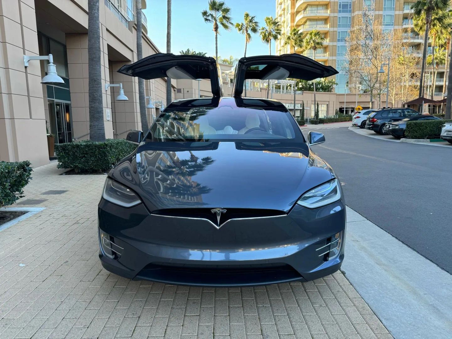 Photo 2 of this Tesla Model X
