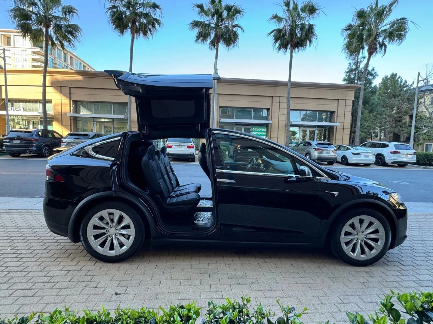 Photo 6 of this Tesla Model X