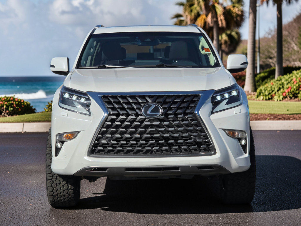 Photo 4 of this Lexus GX 460