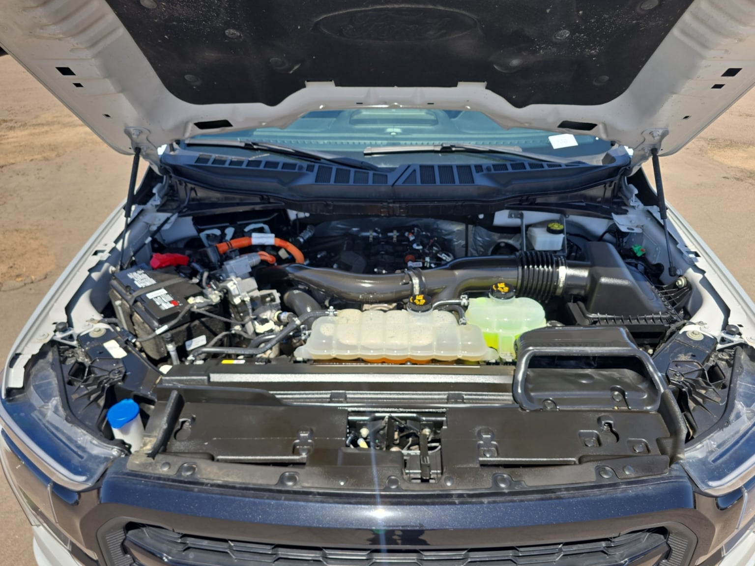 Image #20