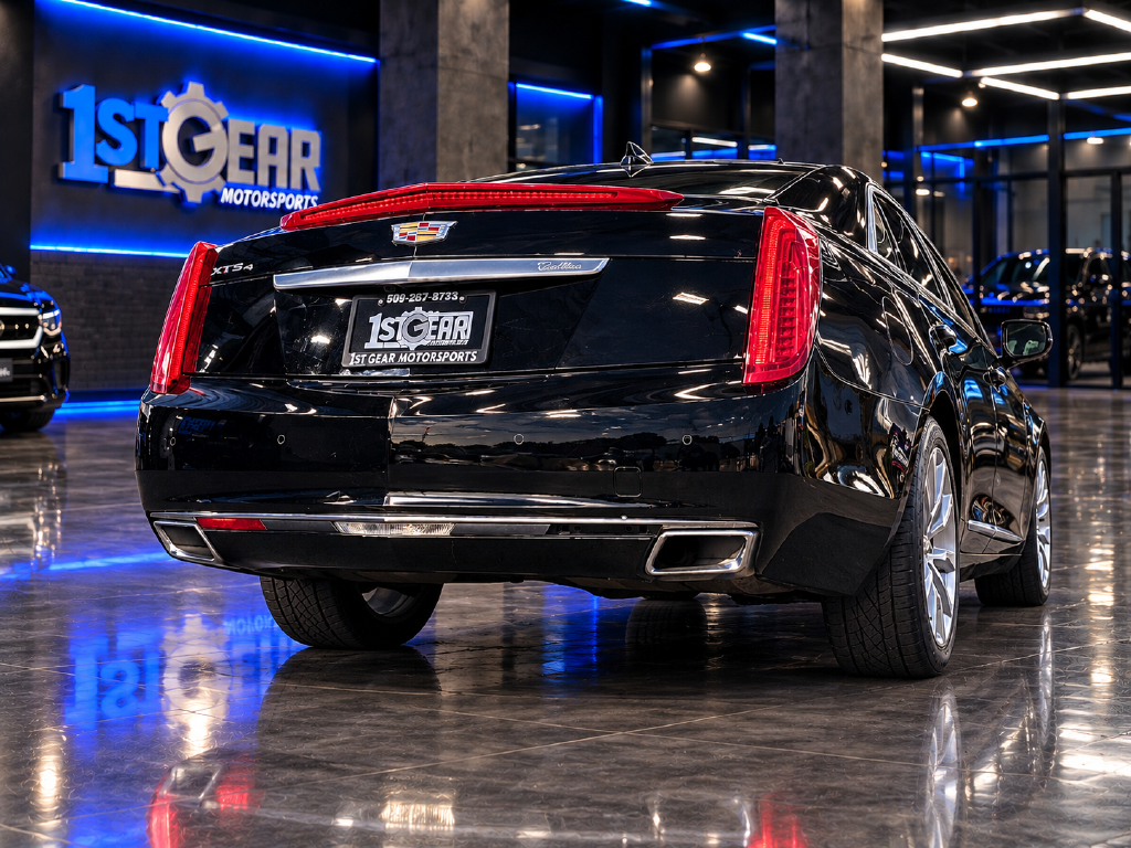 Image #11