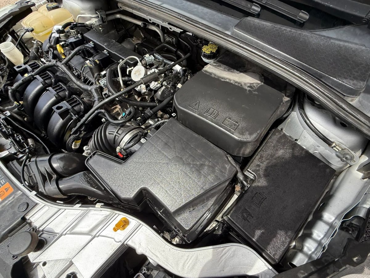Image #23