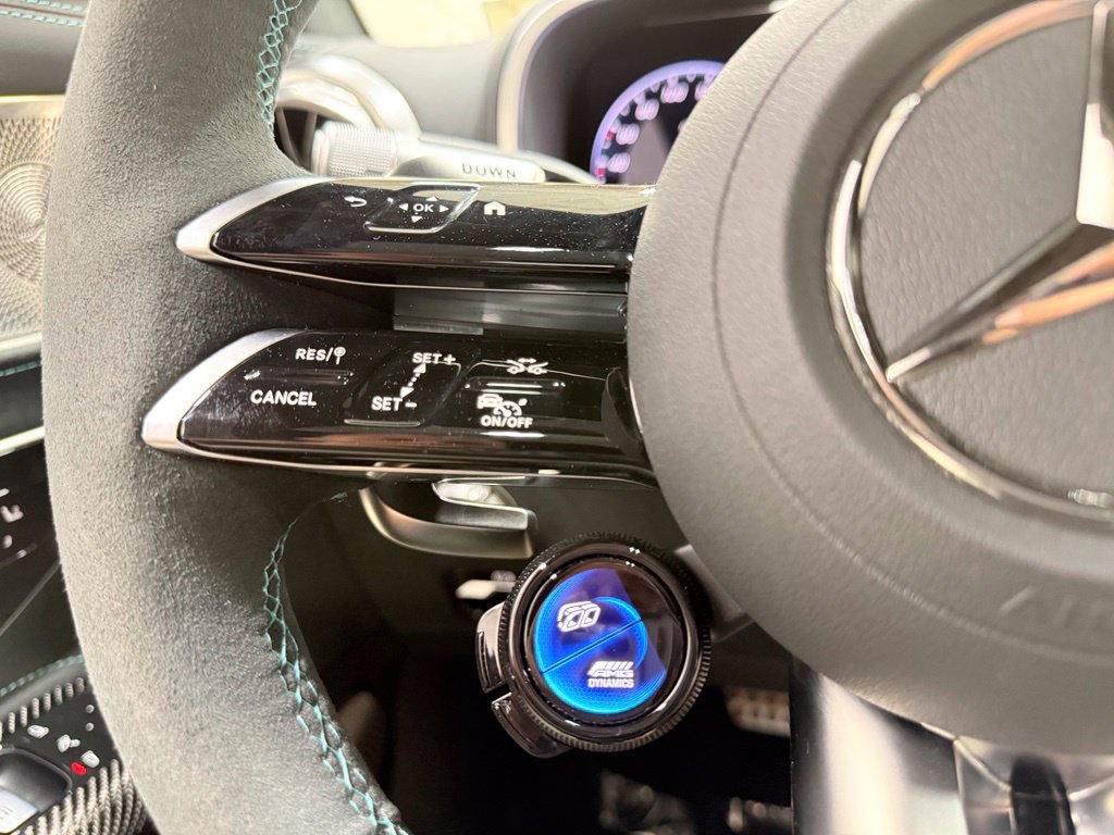 Photo 62 of this Mercedes-Benz AMG GT 63 Pro