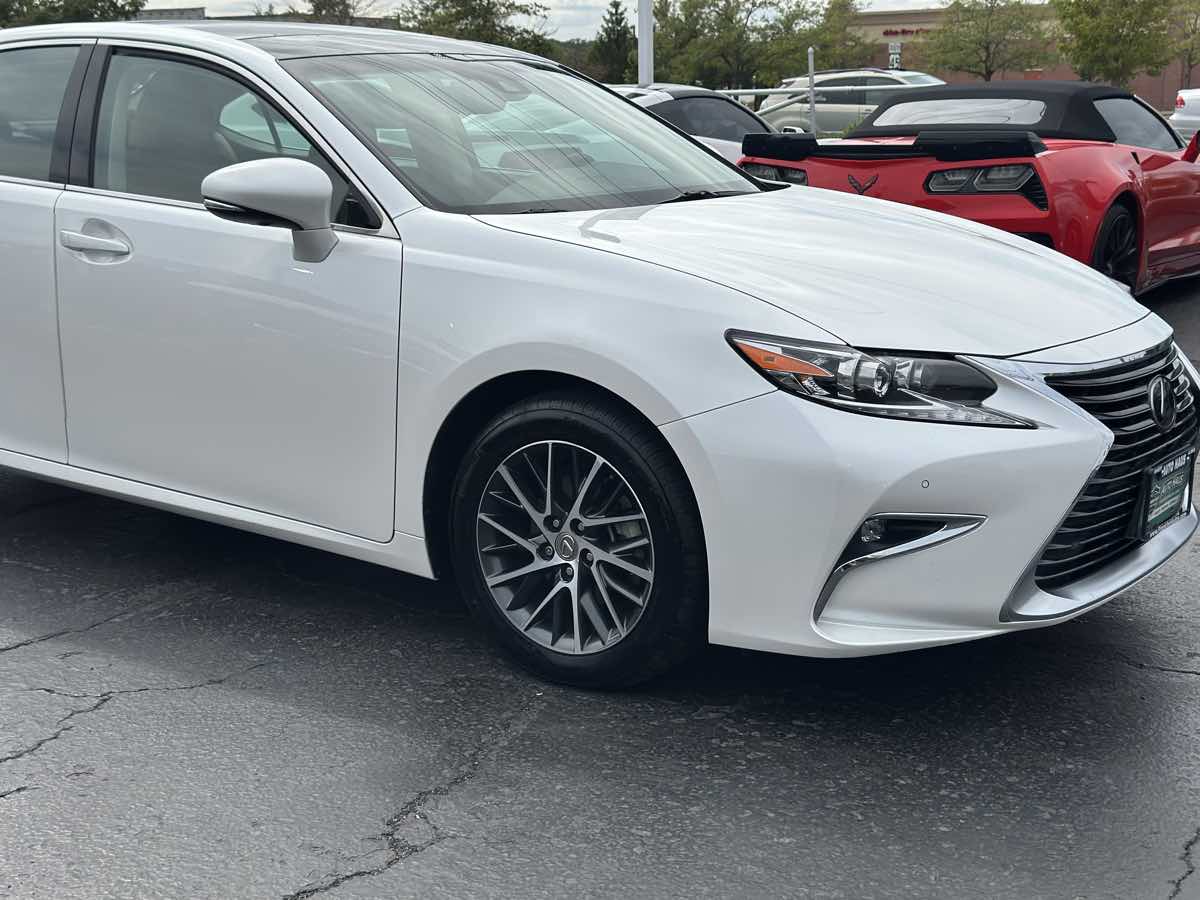 Image #17