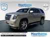 2015 Cadillac Escalade Luxury
