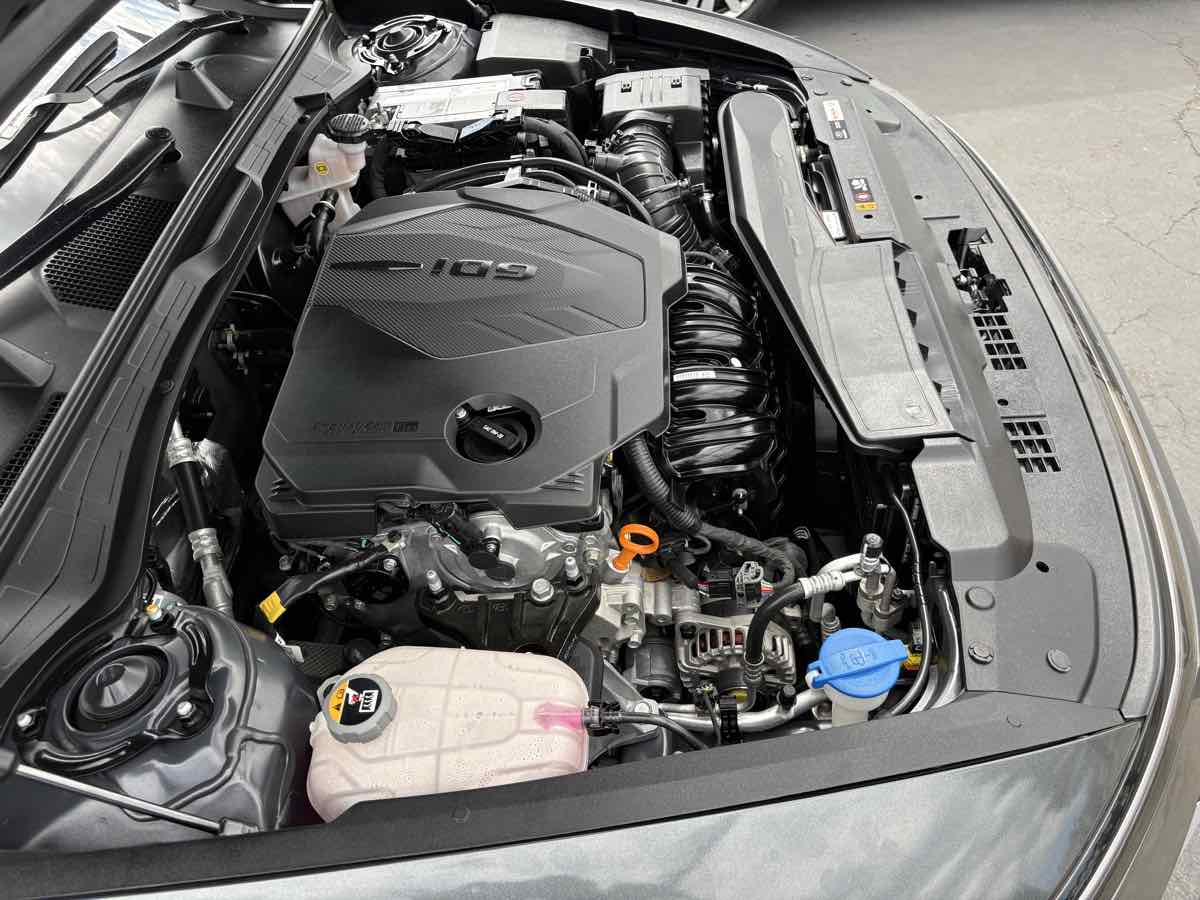 Photo 74 of this Hyundai Sonata