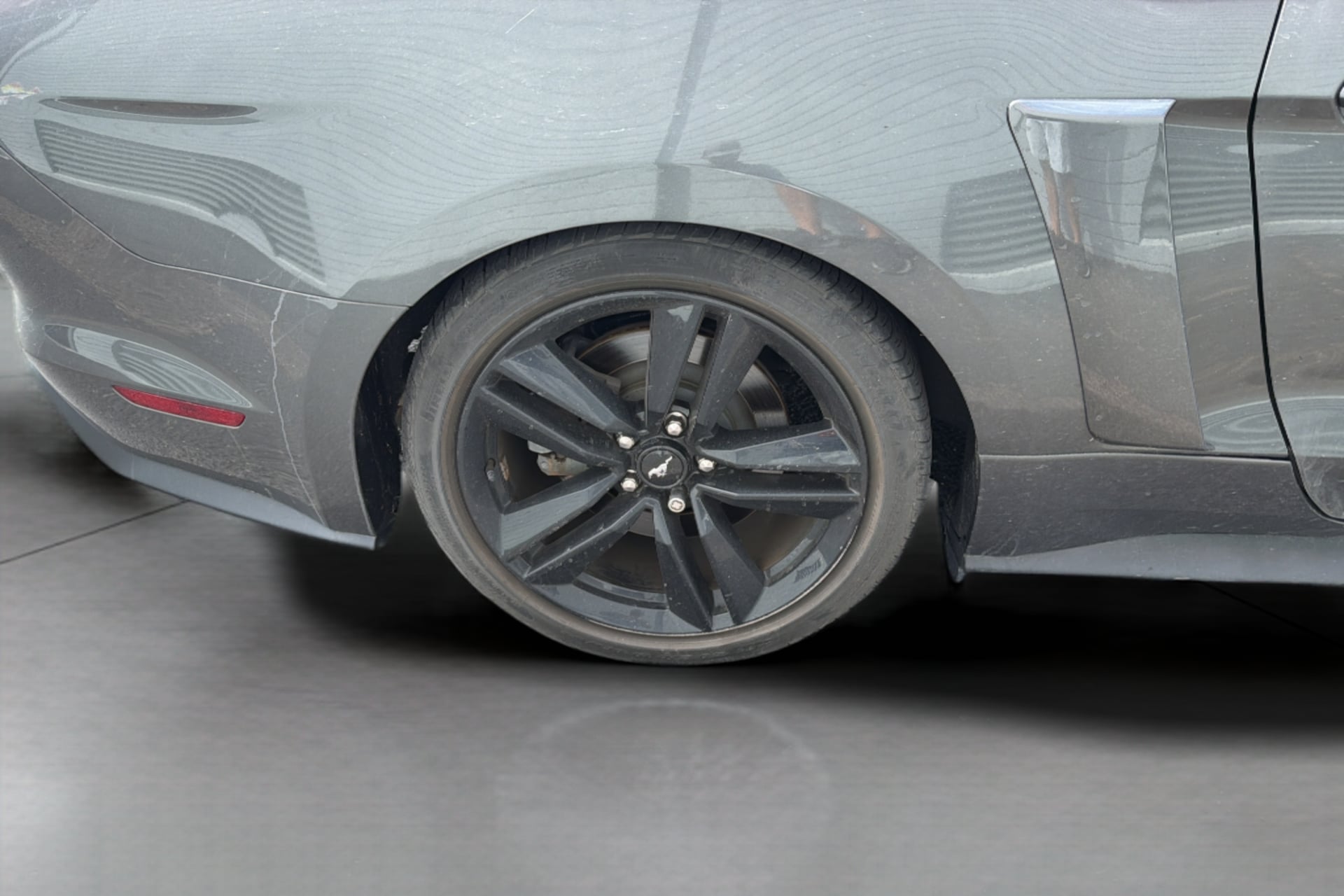 Image #11
