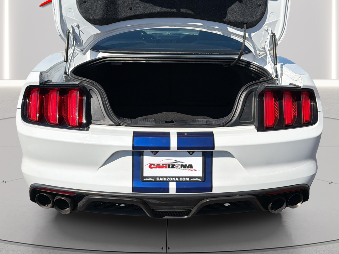 Ford Mustang photo 22
