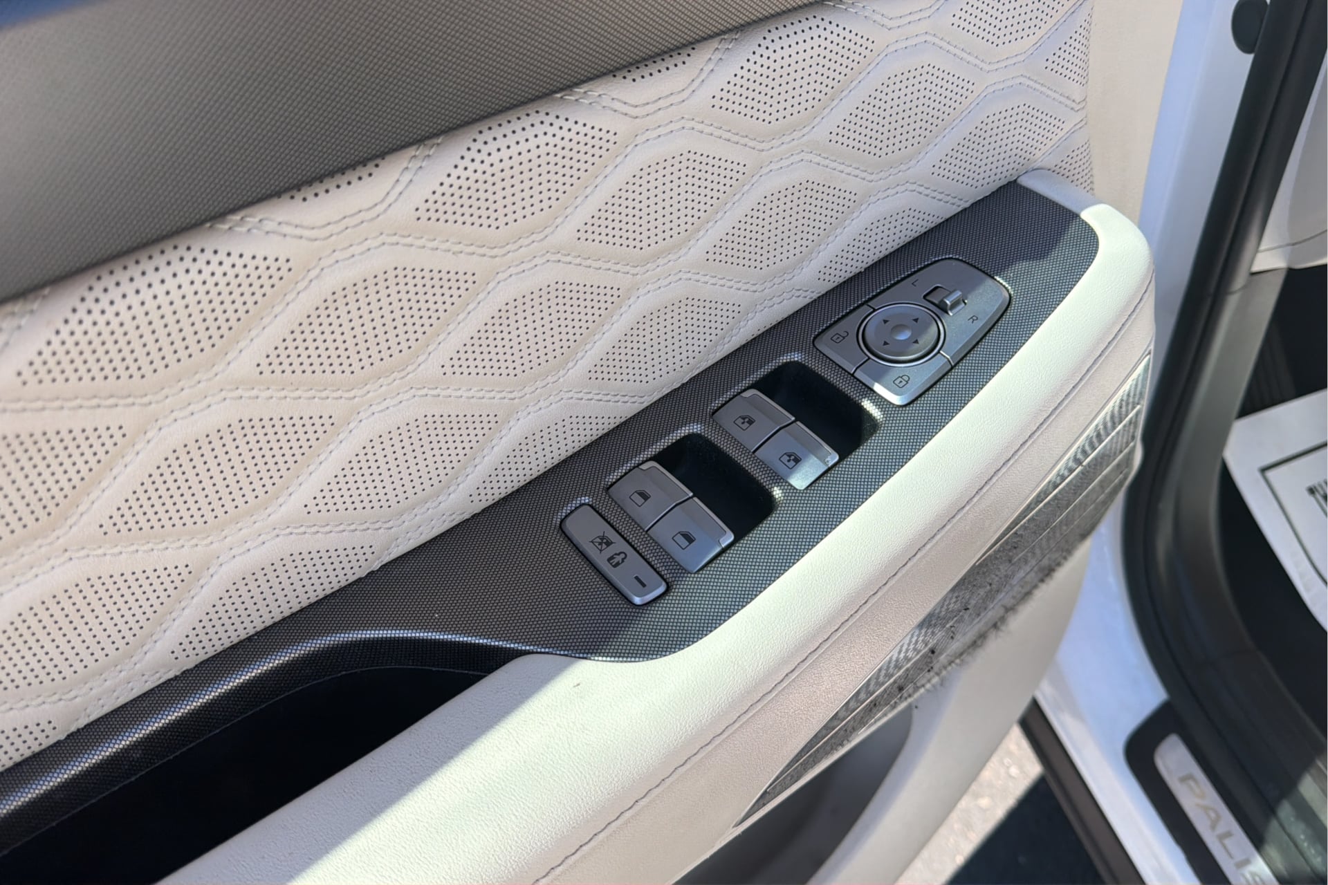 Photo 19 of this Hyundai Palisade