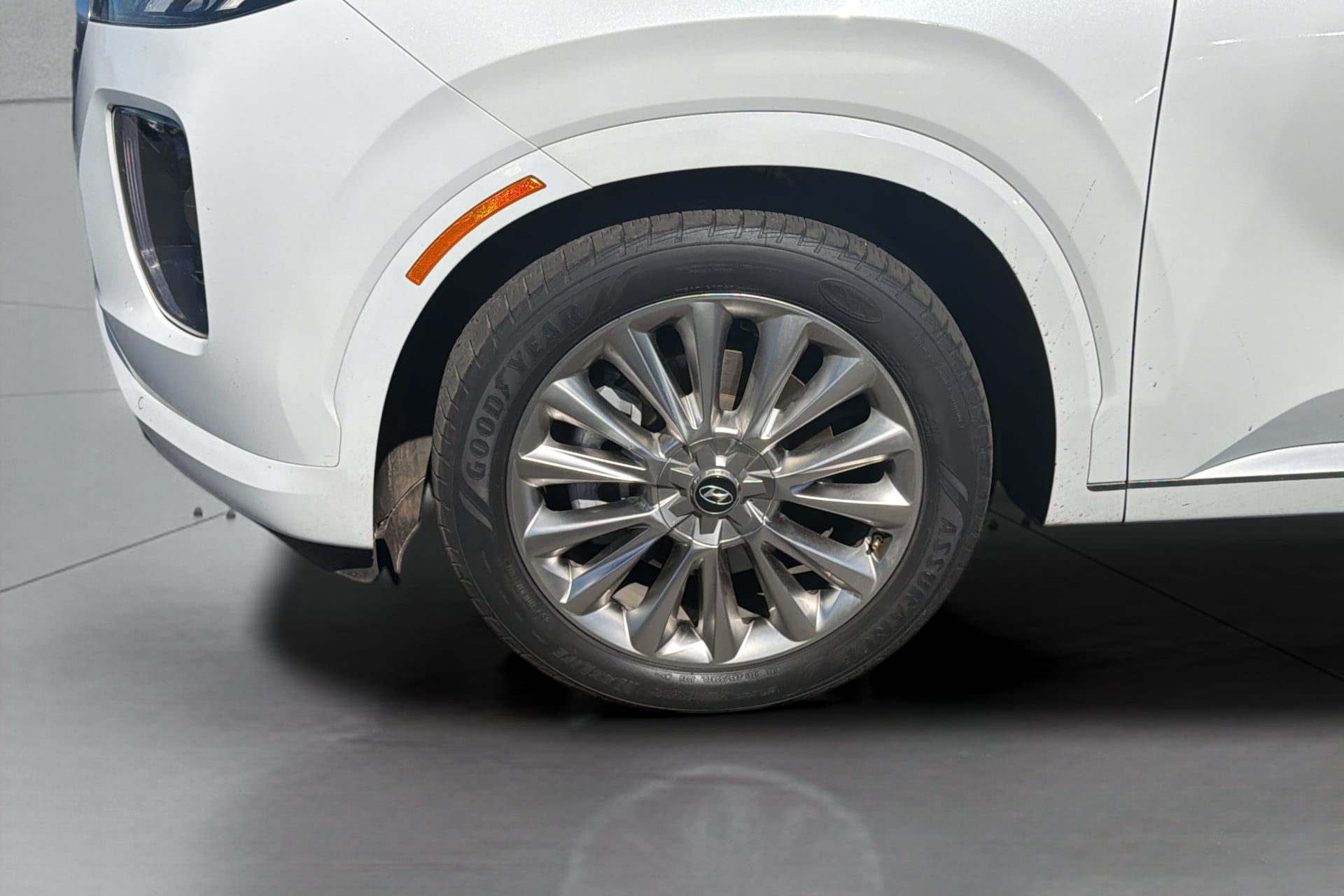 Photo 37 of this Hyundai Palisade