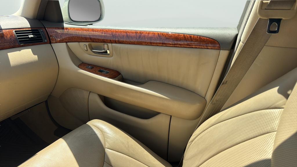 Image #17